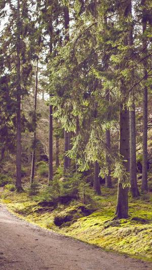 seo点击工具有用吗截图3