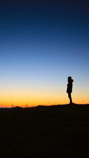 seo优化常用工具截图1