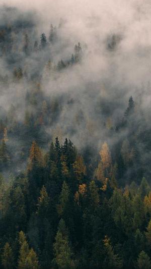 seo网站优化课程截图1