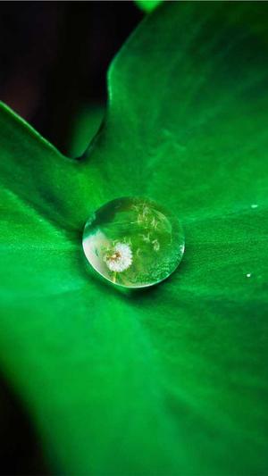 中山seo优化截图5