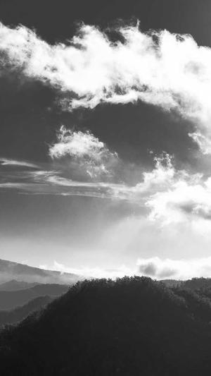 seo点击工具有用吗截图2