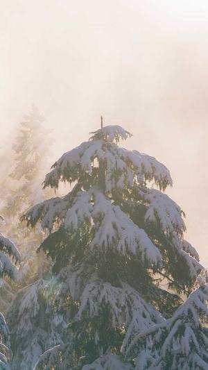 seo推广优化截图2