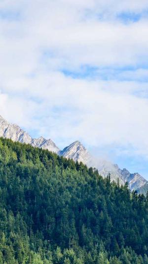 蜘蛛池需要多少个域名截图2