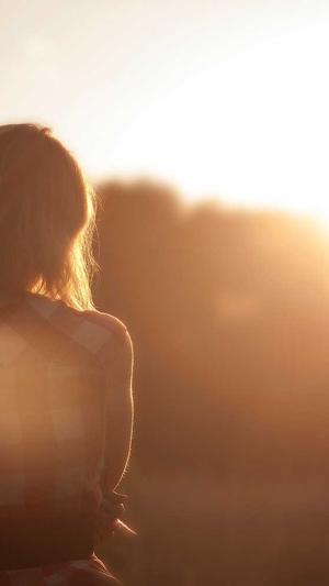 蜘蛛池需要哪些东西截图1