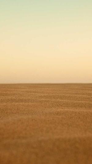 湖南seo优化截图1