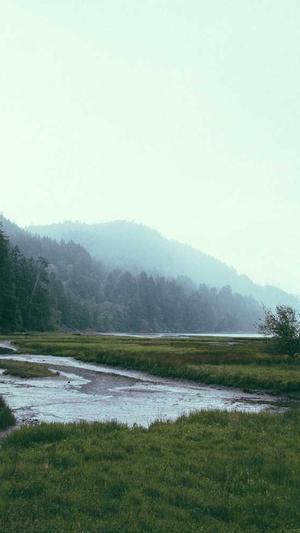 岳阳网站建设截图3