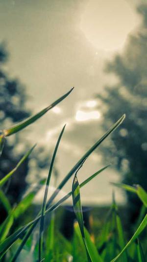 汕头网站建设推广截图2