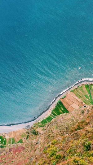 seo 工具google截图3