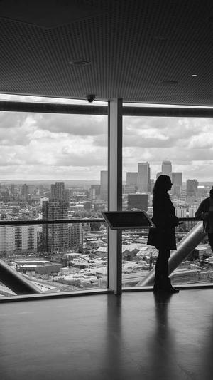 寄生虫蜘蛛池搭建方法截图3