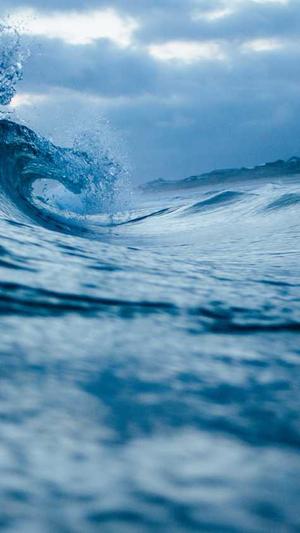 搜狗收录蜘蛛池排名截图2