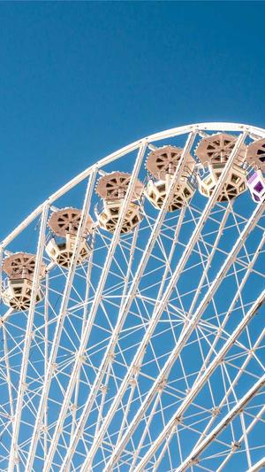 蜘蛛矿池手续费截图3