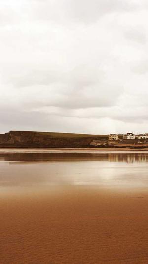 用蜘蛛池会降权吗截图2