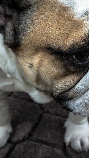 蜘蛛池运营利润如何算截图2