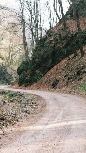 蜘蛛seo超级外链工具截图3