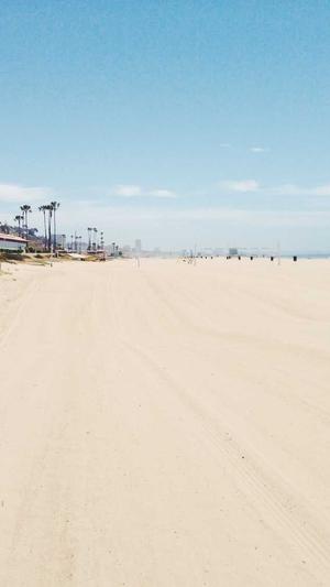 政府网站 建设截图5