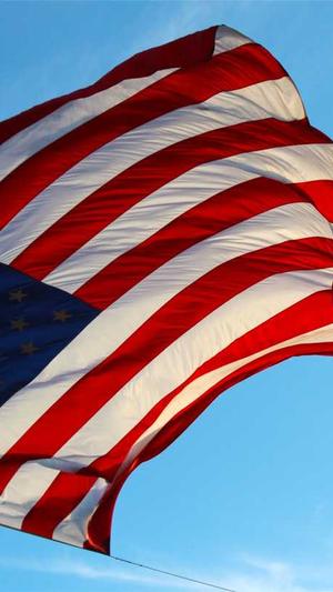 利用站群做蜘蛛池截图4