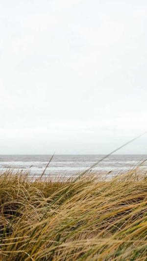 千云坛蜘蛛池截图4