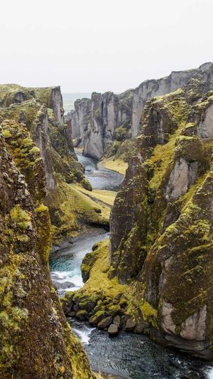 长春网站建设制作截图1