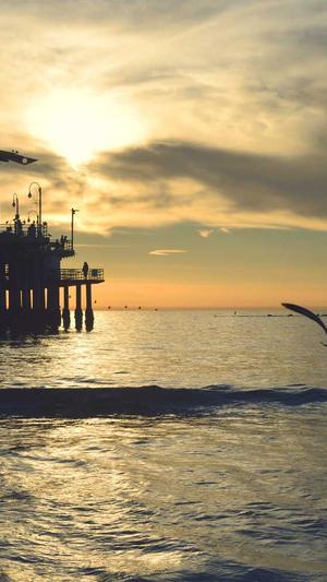 淘宝seo优化排名工具截图2