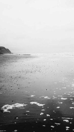 seo 优化建议工具截图3