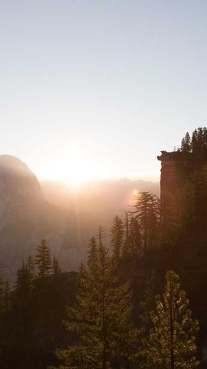 Seo诊断工具网站截图2