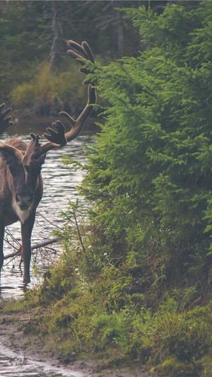 十堰网站建设截图2