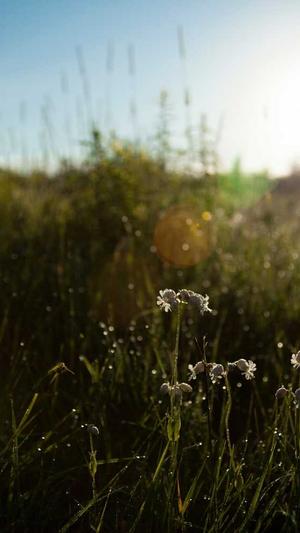 网站建设模板ppt截图1