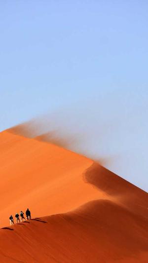 政府网站 建设截图4