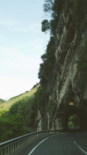 秒收录工具seo截图2