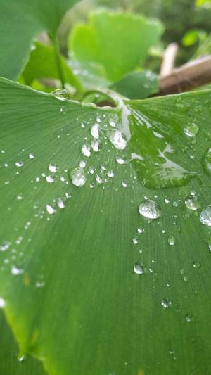 外贸网站模板外贸网站建设截图1