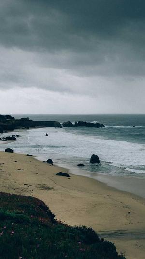 seo工具网址截图3