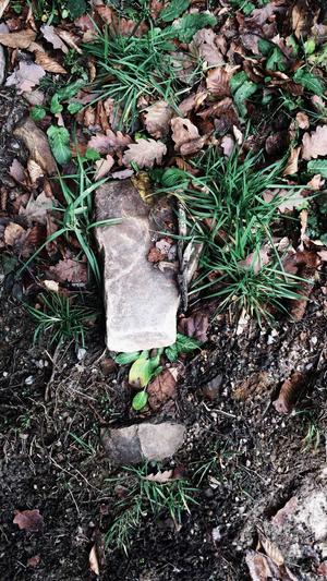 蜘蛛池的风险截图3