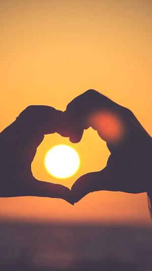 佛山seo工具截图2