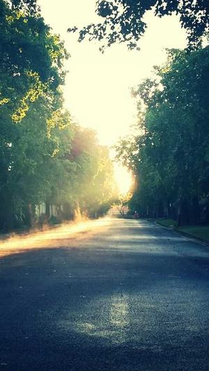 泛目录要搭配蜘蛛池吗截图2