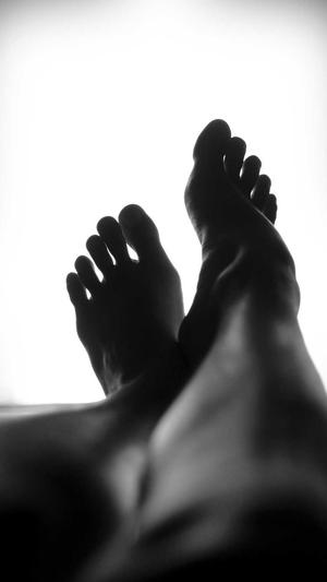 小型蜘蛛池截图4