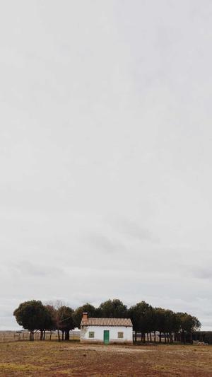 建设网站服务器截图2