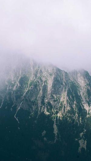 泛目录繁殖系统截图4