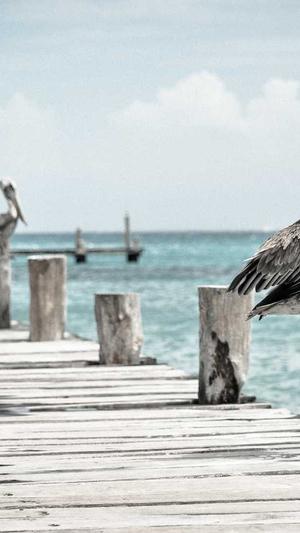 google seo工具分类截图5