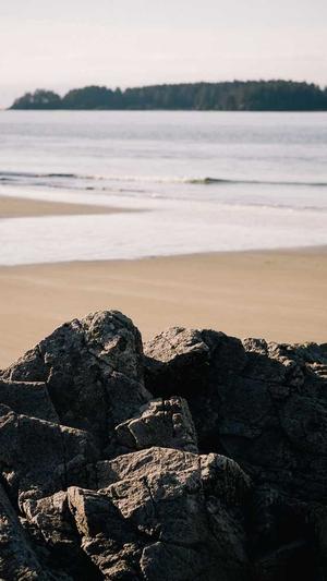 可靠的上海网站建设公司截图5