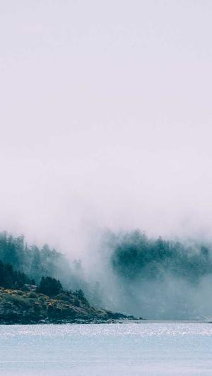 seo查询工具截图2