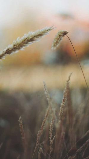 城乡建设网站截图5