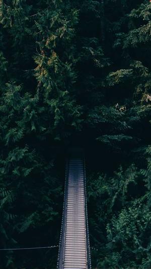 seo刷排名的工具截图3