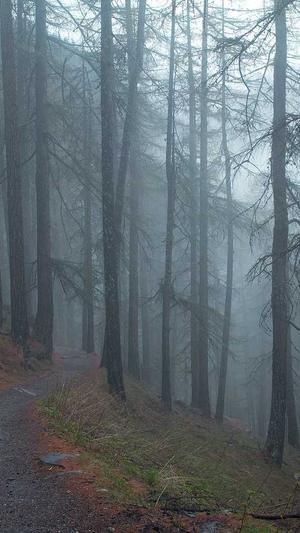 蜘蛛池新手入门关键词截图4