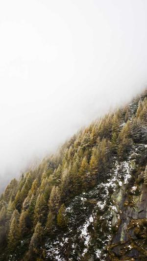 泛目录推广接单网站截图3