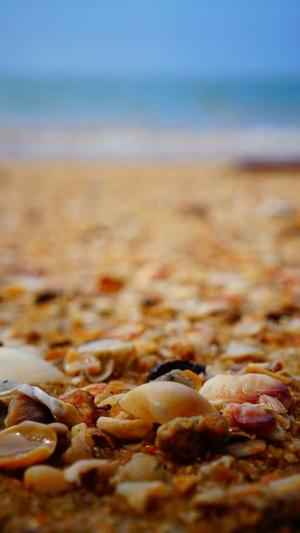 seo推广技术截图1