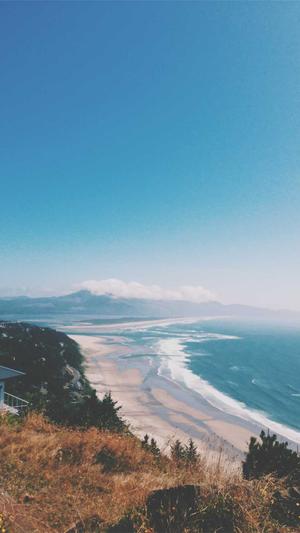 seo优化需要什么工具截图1