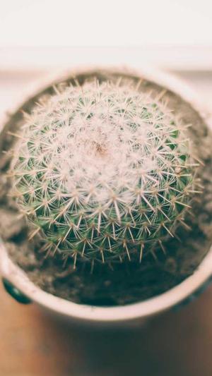 昆山网站建设网站截图2