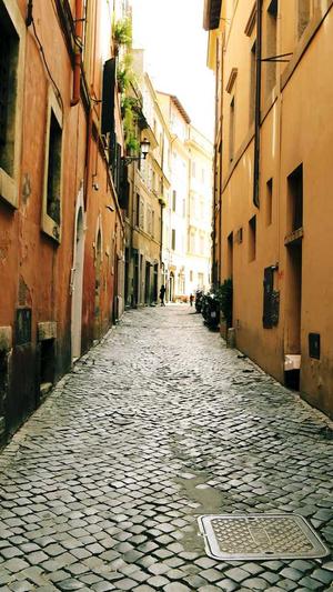 seo优化工具免费截图5