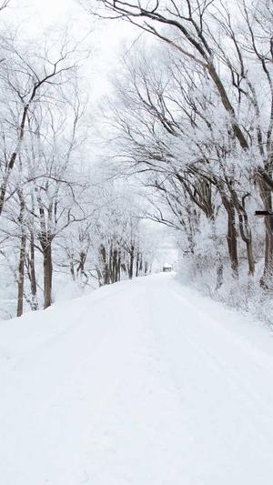 免费蜘蛛池搭建图片截图1