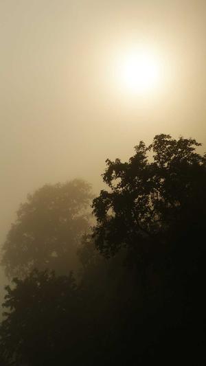 网站建设模板ppt截图3